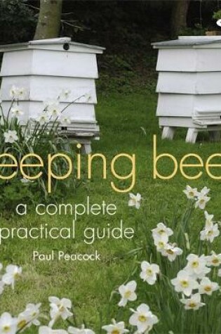 Cover of Keeping Bees