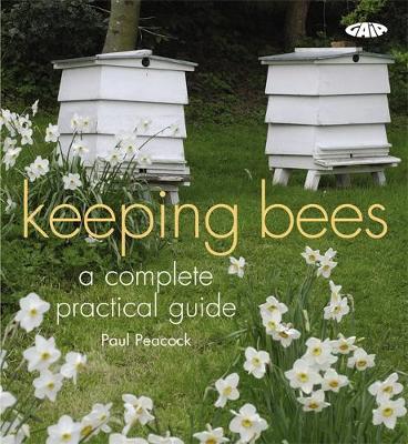 Book cover for Keeping Bees