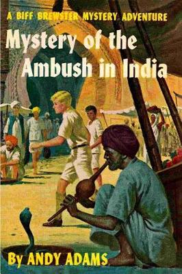 Book cover for Mystery of the Ambush in India