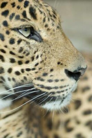 Cover of Close-Up of a Leopard Big Cat Journal