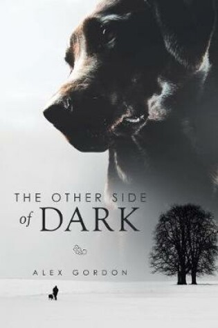 Cover of The Other Side of Dark