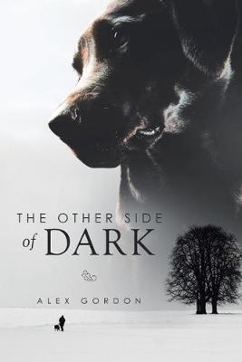 Book cover for The Other Side of Dark