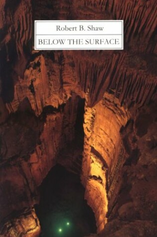 Cover of Below the Surface