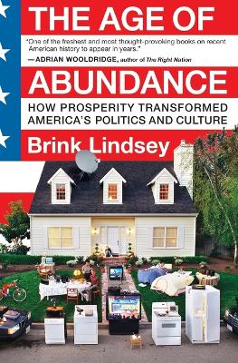 Book cover for The Age of Abundance