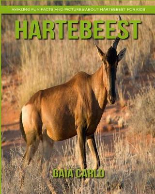 Book cover for Hartebeest