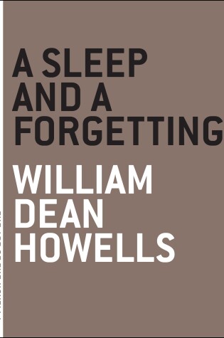 Cover of A Sleep And A Forgetting