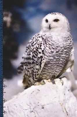 Cover of Snowy Owl Creative Journal