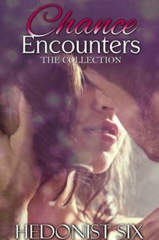 Cover of Chance Encounters