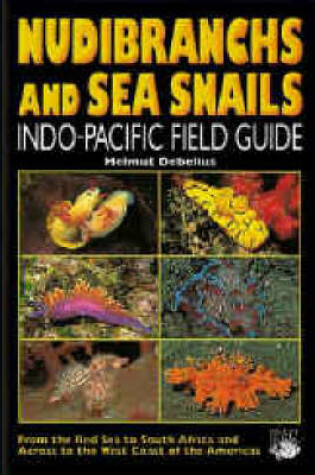 Cover of Nudibranchs and Sea Snails