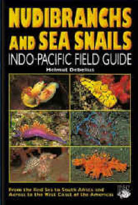 Cover of Nudibranchs and Sea Snails