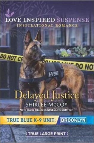 Cover of Delayed Justice