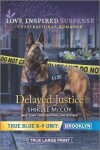 Book cover for Delayed Justice