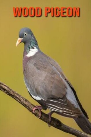 Cover of Wood Pigeon