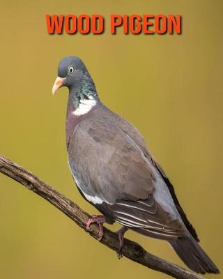 Book cover for Wood Pigeon