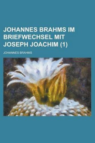 Cover of Johannes Brahms Im Briefwechsel Mit Joseph Joachim (1)