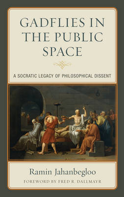 Book cover for Gadflies in the Public Space