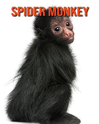 Book cover for Spider Monkey