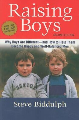 Cover of Raising Boys