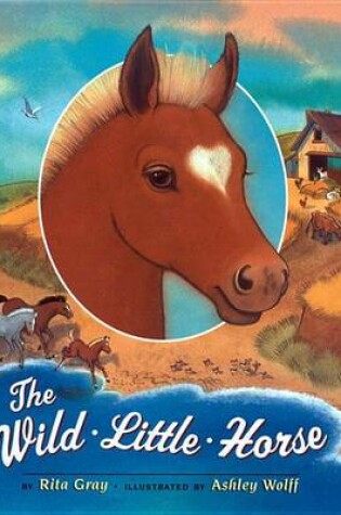 Cover of The Wild Little Horse