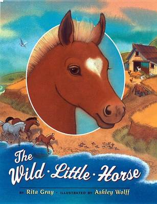 Book cover for The Wild Little Horse