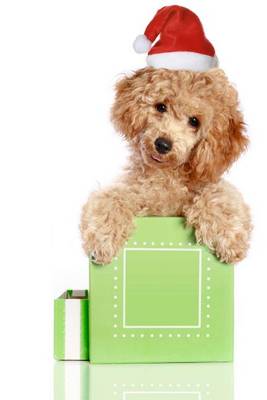 Book cover for Poodle Puppy Dog in a Gift Box with a Christmas Hat