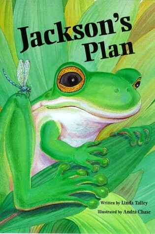 Jackson's Plan