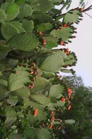 Cover of A Massive Blooming Cactus