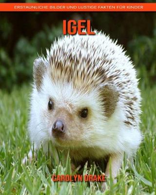 Book cover for Igel