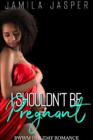 Cover of I Shouldn't Be Pregnant