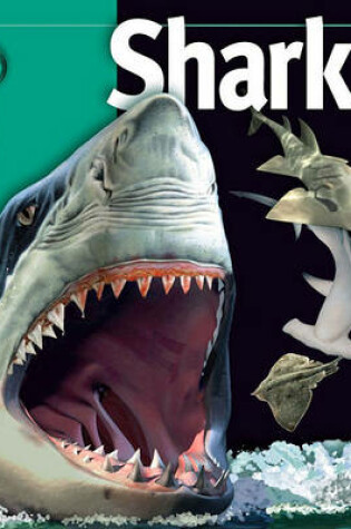 Cover of Sharks