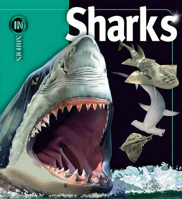 Cover of Sharks