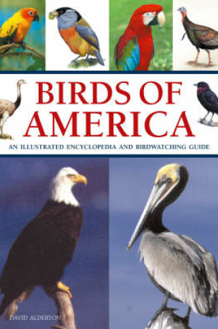 Cover of Birds of America