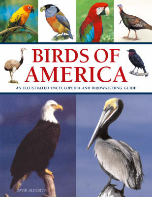 Book cover for Birds of America