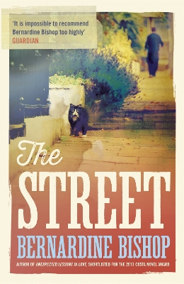 Book cover for The Street