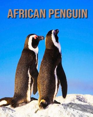 Book cover for African penguin