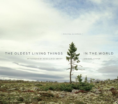 Book cover for The Oldest Living Things in the World