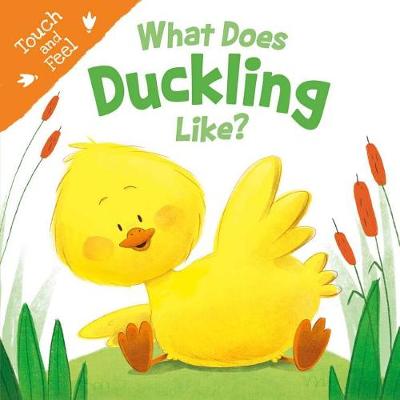 Cover of What Does Duckling Like