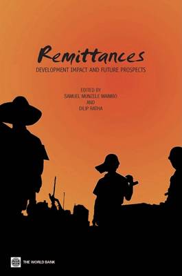 Book cover for Remittances