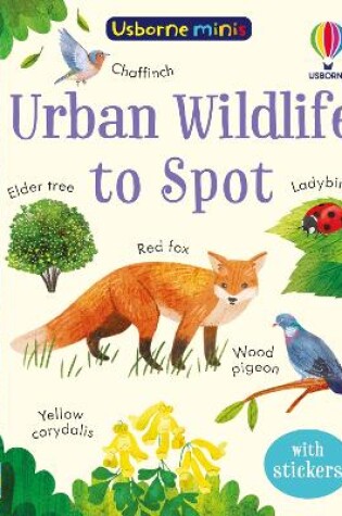 Cover of Urban Wildlife to Spot