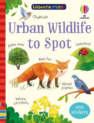 Book cover for Urban Wildlife to Spot