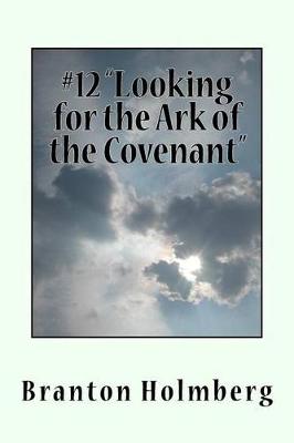 Book cover for Lookin fer the Ark of the Covenant