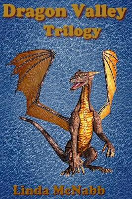 Book cover for Dragon Valley Trilogy