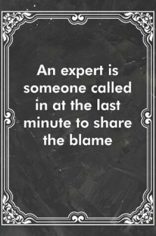 Cover of An expert is someone called in at the last minute to share the blame