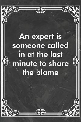 Book cover for An expert is someone called in at the last minute to share the blame