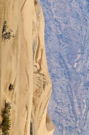 Cover of The Desolate Landscape of Death Valley in California