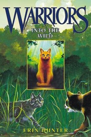 Cover of Into the Wild