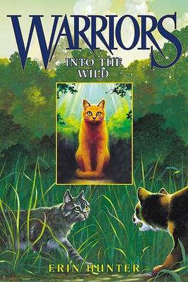 Book cover for Into the Wild