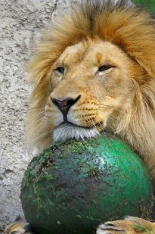 Cover of Lion with his Favorite Toy African Animal Journal