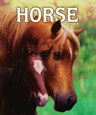 Book cover for Horse