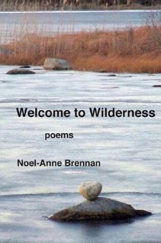 Cover of Welcome to Wilderness